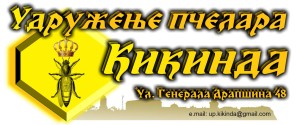 logo upk
