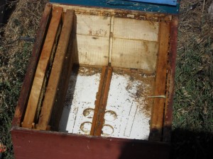 SDC12458