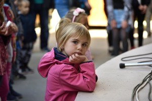 DSC_0882_