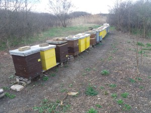 20190319_072258