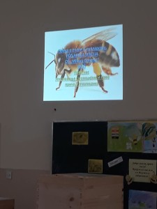 53762098_2540877902652681_5808639587882369024_n
