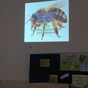 53762098_2540877902652681_5808639587882369024_n