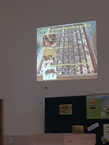 53916319_2540878162652655_5148859493693521920_n