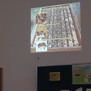 53916319_2540878162652655_5148859493693521920_n