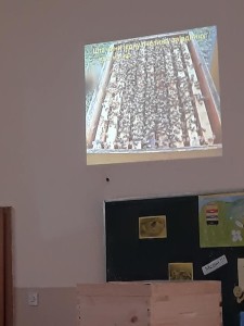 54209233_2540878035986001_6468307931317141504_n