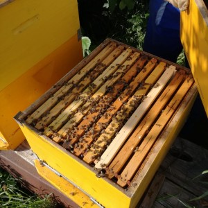 61050904_2348820828722295_6140331820434063360_n