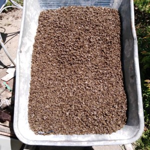 61123664_1322351697904113_8383996162901803008_n