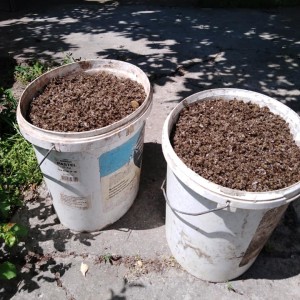 61621914_1322351634570786_3655956336509714432_n