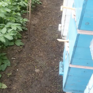 IMG-11737a8a9699ed337c06721f0ed68b7d-V