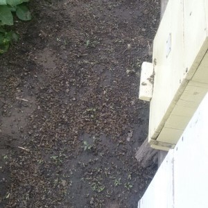 IMG-42371d67289dd7657afa86bb27d88629-V