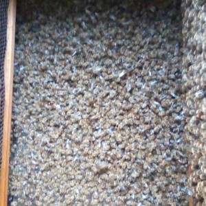 IMG-44cdbd0e2171e3f4cbaff41050bcf309-V