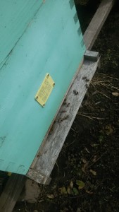 IMG-57fb7cb6a4c5b1bda841d85909fe6c0d-V