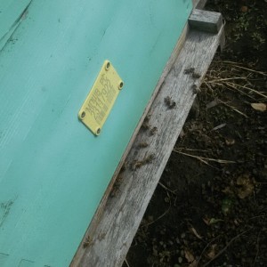 IMG-57fb7cb6a4c5b1bda841d85909fe6c0d-V