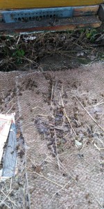 IMG-7de9257faae7254fbcf9ae328375fc35-V