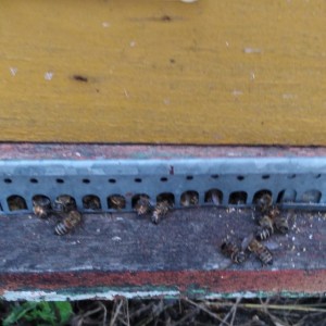 IMG-8c96b84b703d608b0ce8a2cb7acc2d1b-V