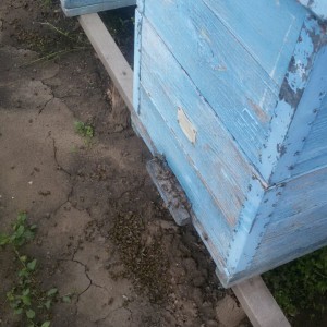 IMG-a9851a839ac2a4494cf619a593e5e64c-V