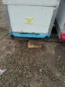 IMG-aa5bf2925dc8de0e788added53c2d26a-V