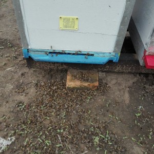 IMG-aa5bf2925dc8de0e788added53c2d26a-V