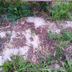 IMG-cd669901e95c7462237b3a767195db8f-V