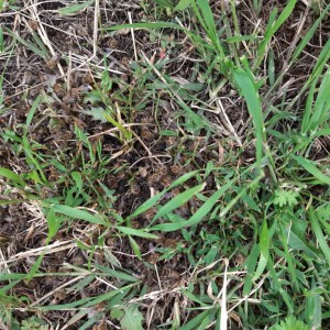 IMG-daaf96816f24a6259d18a711c1684209-V