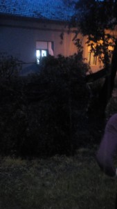 IMG-dcb391573a1f0db048d16332f72e28b4-V