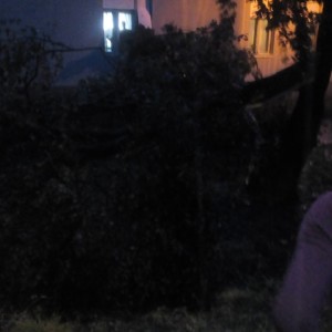 IMG-dcb391573a1f0db048d16332f72e28b4-V