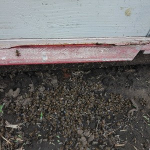 IMG-f44626e90cdfbc476ac8a62c0ab05119-V