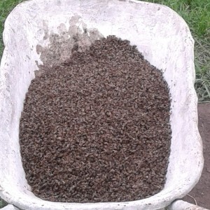 IMG-f5a445225b90c1d7d582d82151565a6b-V