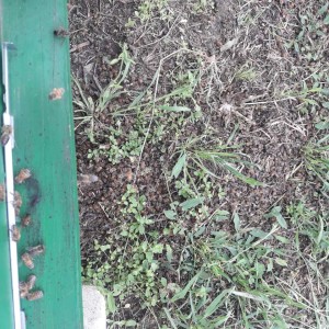 IMG-f8590926334f1857d4f97ab9bba06a34-V