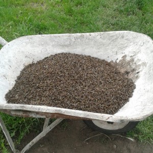 IMG-ffb56f4123aadba98fc025f9b5065b9a-V