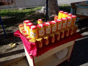 ОШ "Братство Јединство" Банатска Топола